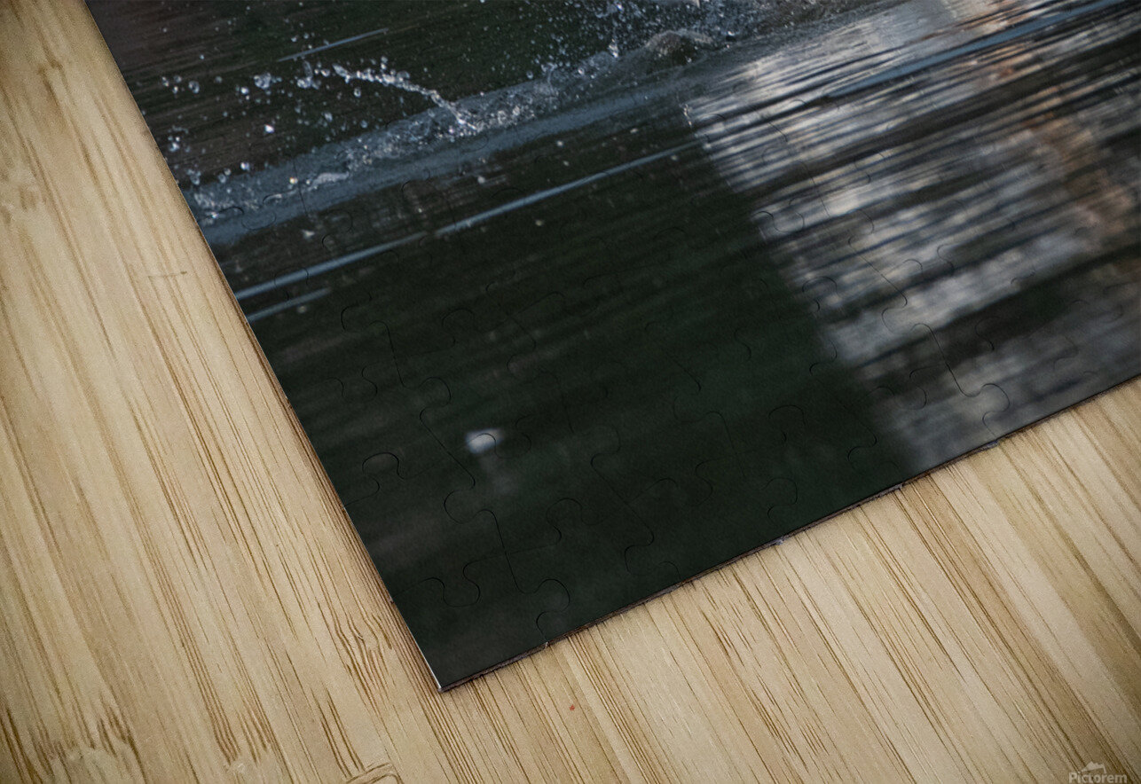 Pelicans 0292 Bryan Bosley Puzzle