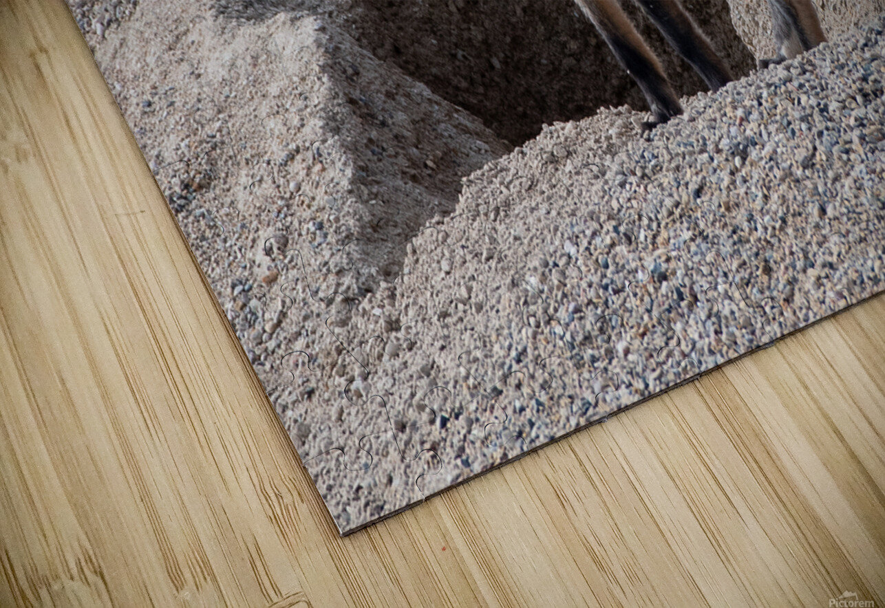 Red Fox 9081 Bryan Bosley Puzzle