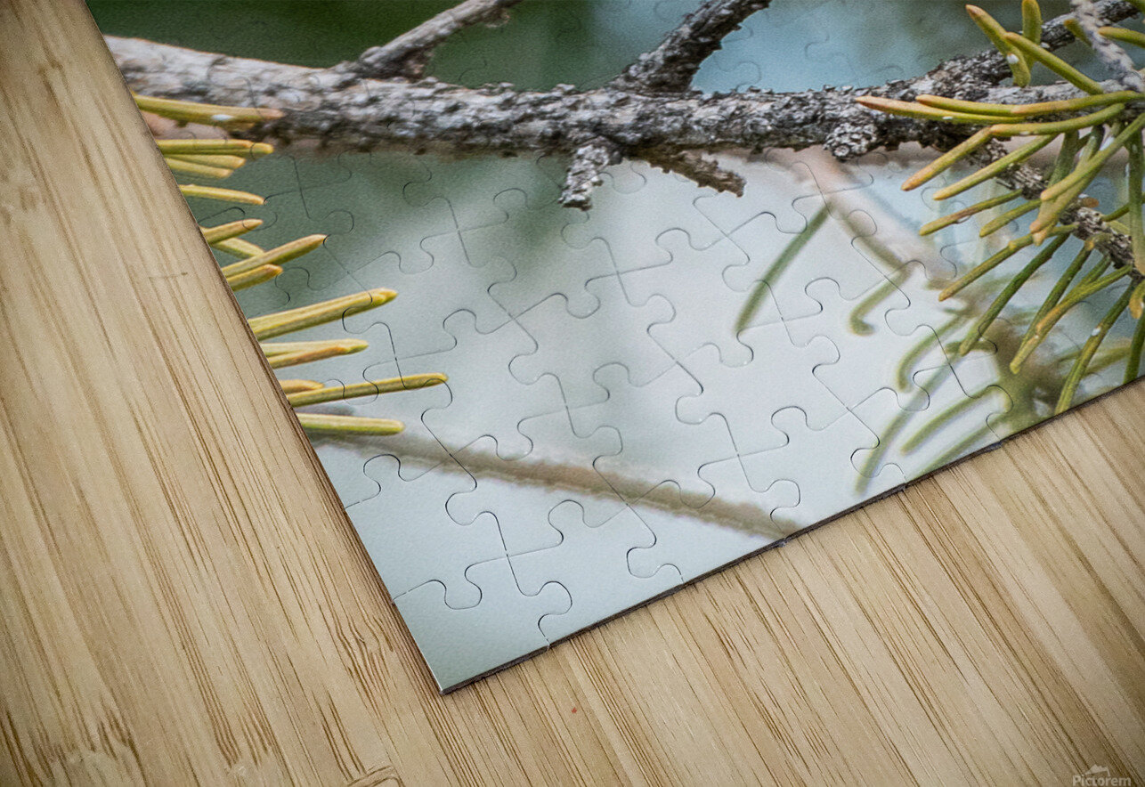 Female Ruby throated Hummingbird 1409 Bryan Bosley Puzzle