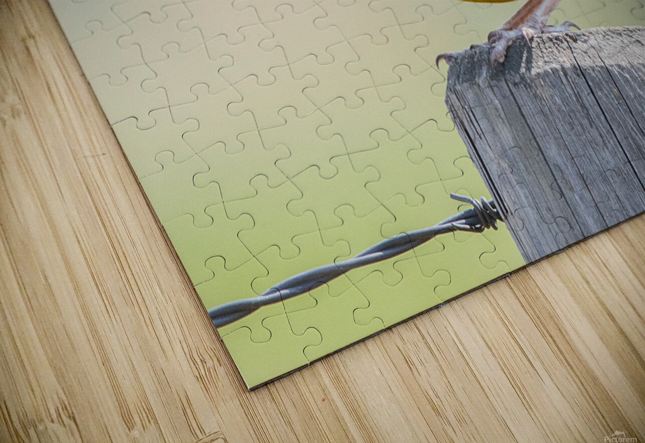 Western Meadowlark 0432 Bryan Bosley Puzzle