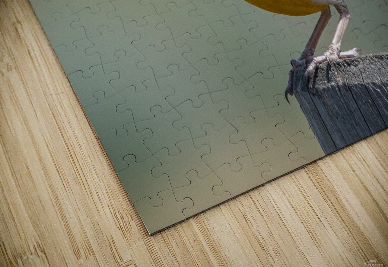 Western Meadowlark 0452 Bryan Bosley Puzzle