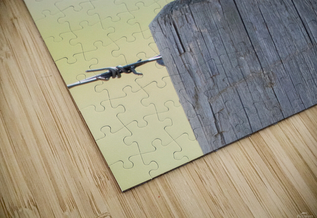 Western Meadowlark 0428 Bryan Bosley Puzzle