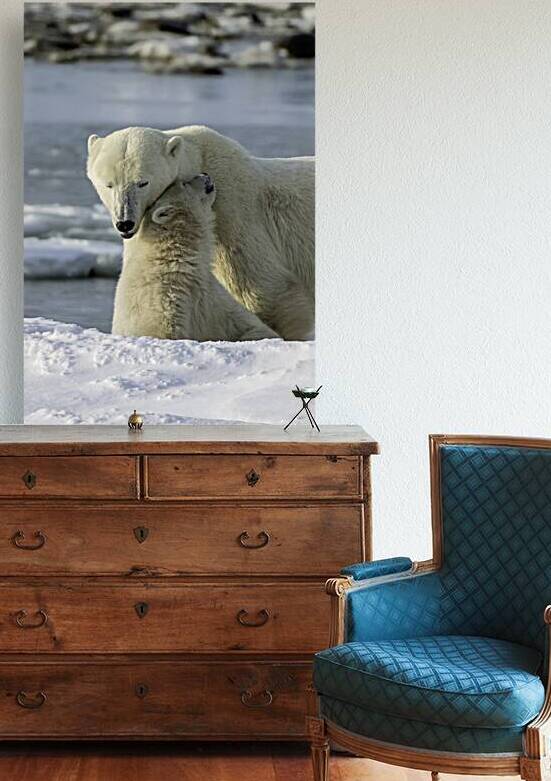 Polar Bear Mother and Cub by Bryan Bosley