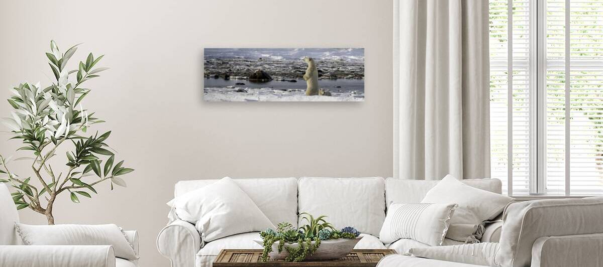 Polar Bear Mother Standing by Bryan Bosley