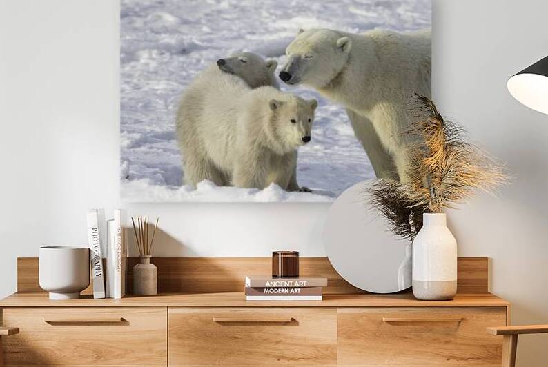 Polar Bear Mother and Cubs by Bryan Bosley