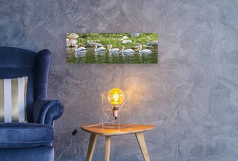 Pelicans 9847 by Bryan Bosley