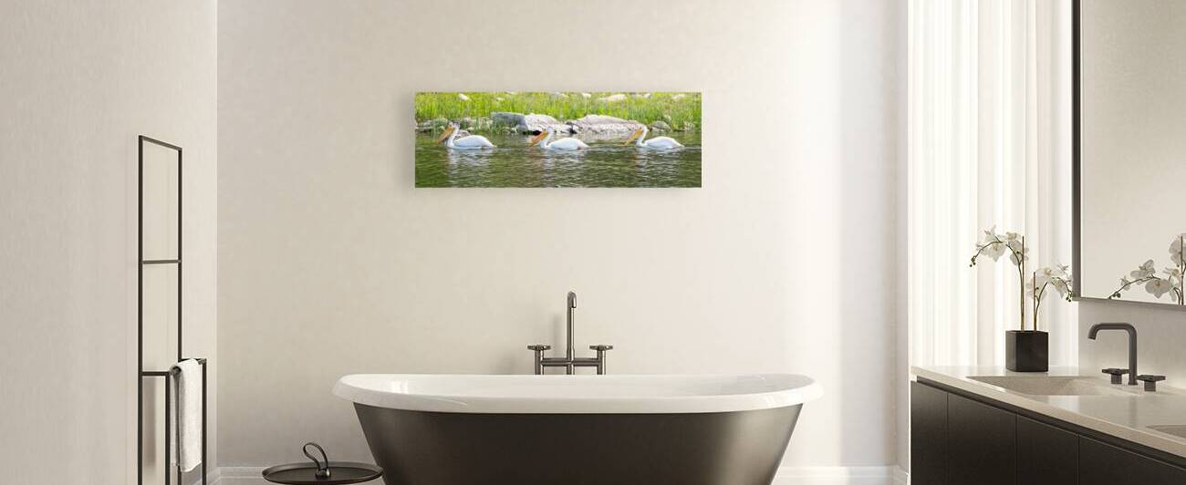 Pelicans 9842 by Bryan Bosley