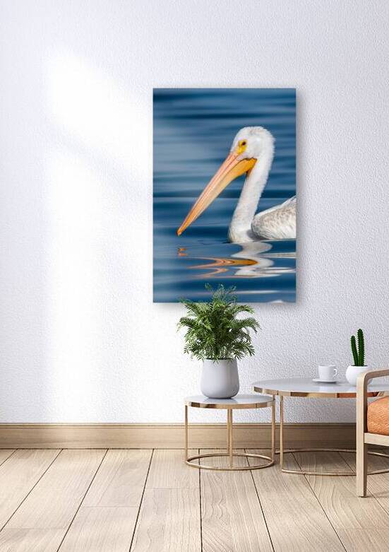 Pelican 1531 by Bryan Bosley