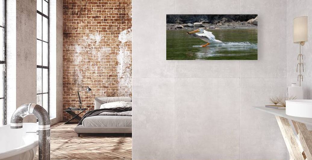 Pelicans 9989 by Bryan Bosley