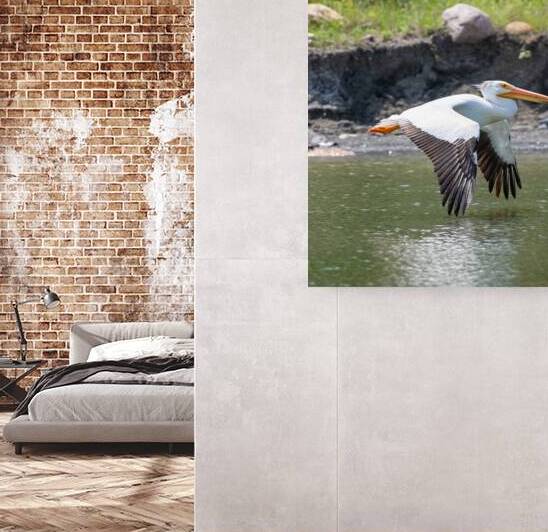 Pelicans 0008 by Bryan Bosley