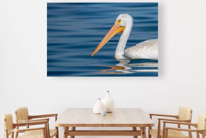 Pelican 1530 by Bryan Bosley