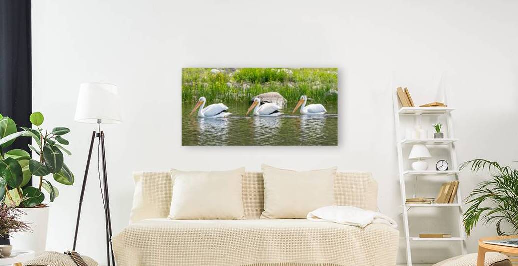 Pelicans 9836 by Bryan Bosley