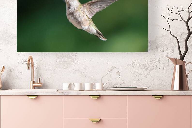 Female Ruby throated Hummingbird 0974 by Bryan Bosley